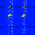 Porta Gorra Mod. 10 Niveles / Panel