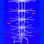 Araña Fija de 5 Niveles