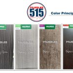 Paleta de Color Principal